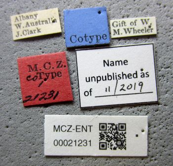 Media type: image;   Entomology 21231 Aspect: labels